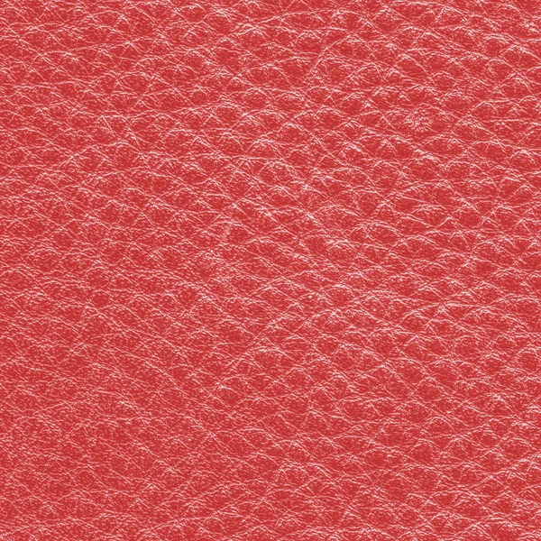 Kırmızı deri dokusu — Stok fotoğraf