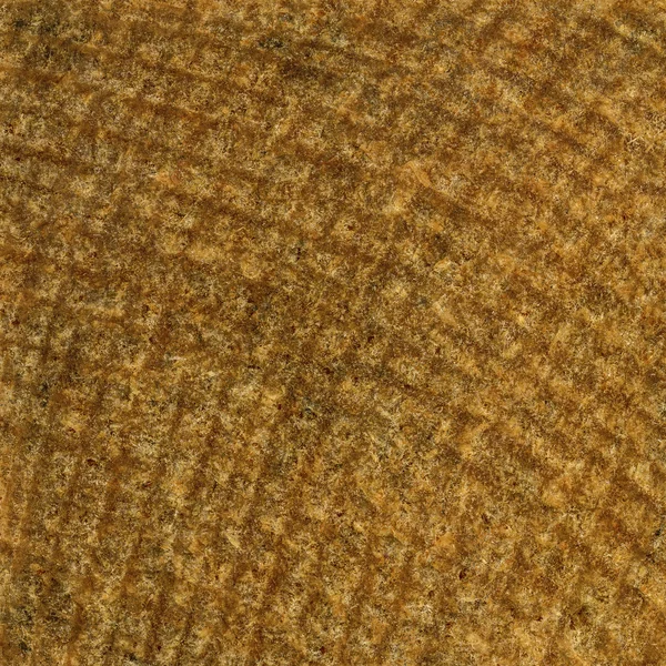 Texture of rough cut of a tree — Stock Photo, Image