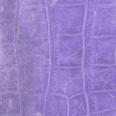 Yılan derisi soluk mor deri ürünleri