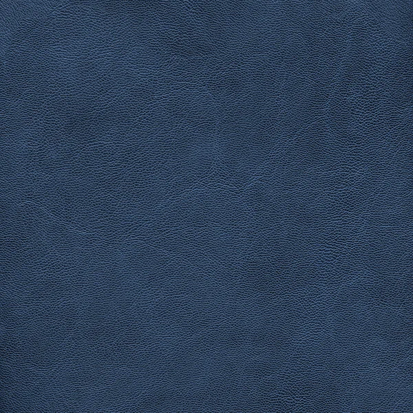 Blue leather texture — Stock Photo, Image