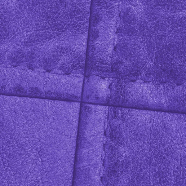 Accesorios de ropa de cuero violeta — Foto de Stock