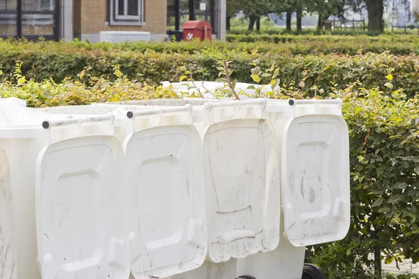 Row of large white wheelie bins — Stock Photo, Image