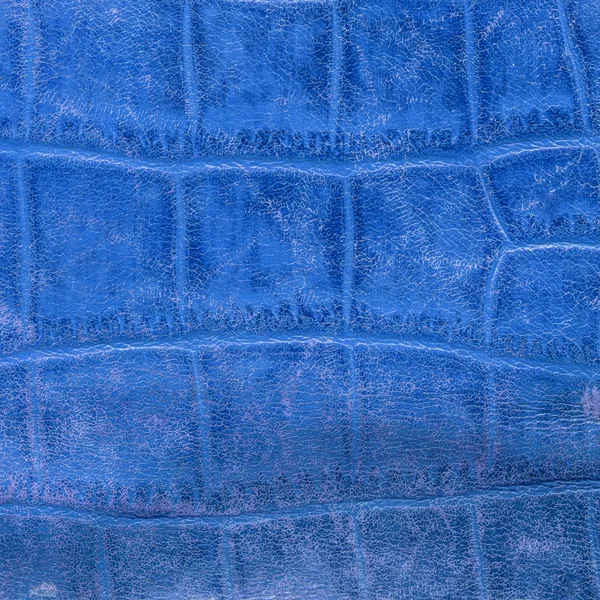Blue leather goods in snakeskin