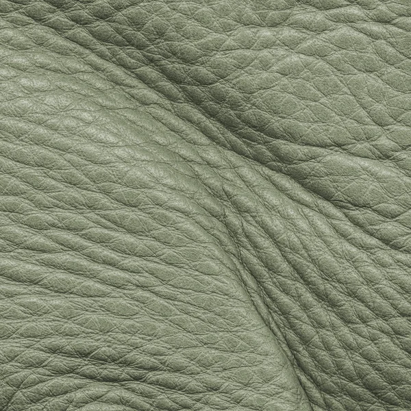 Green crumpled leather — Stock Photo, Image