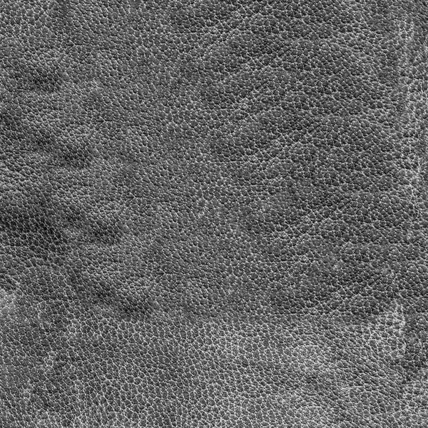 Eski gri kırışık deri doku — Stok fotoğraf