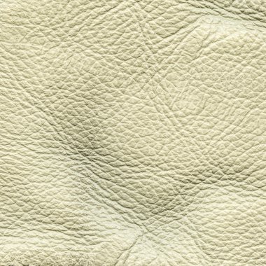 Sarımtırak deri doku