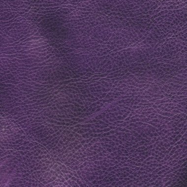 Menekşe buruşuk deri dokusu