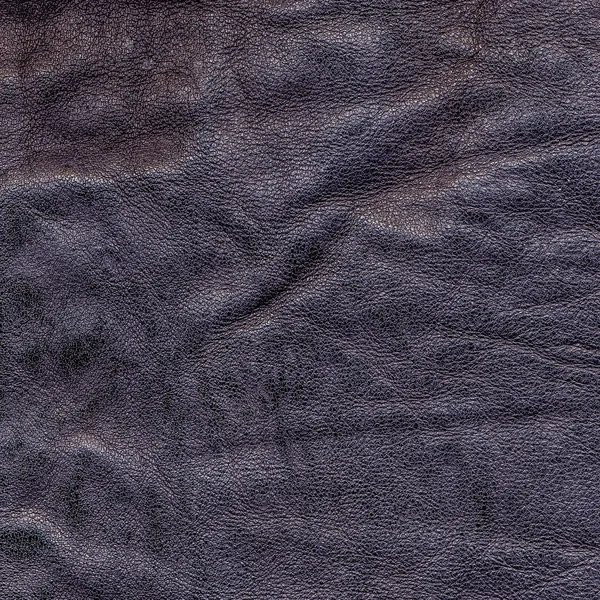 Textura de cuero violeta oscuro viejo — Foto de Stock