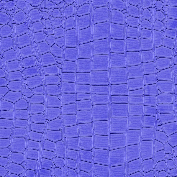 Texture pelle di serpente blu — Foto Stock