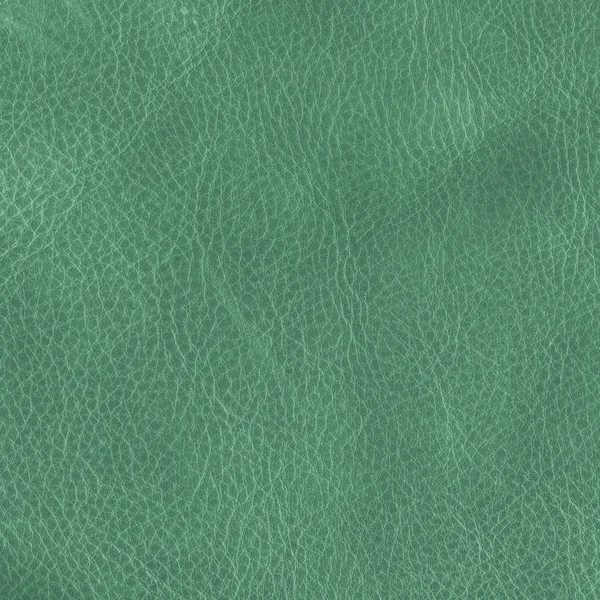 Зелений шкіра текстури — стокове фото