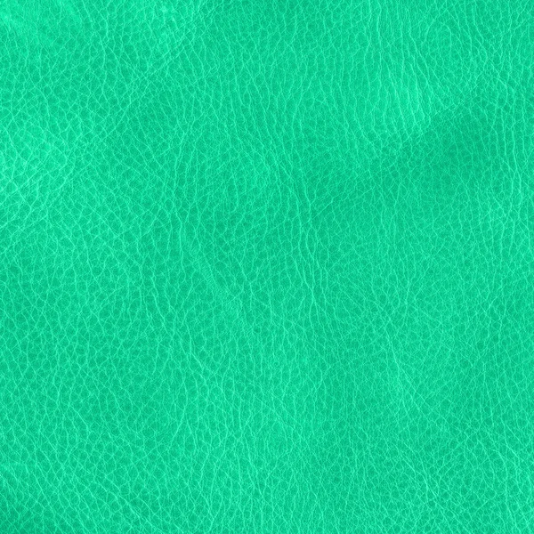 Texture cuir vert clair — Photo