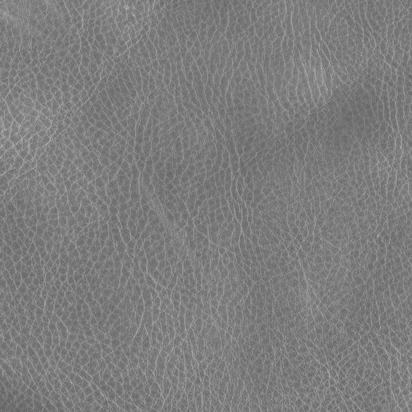 Gray leather texture — Stock Photo, Image