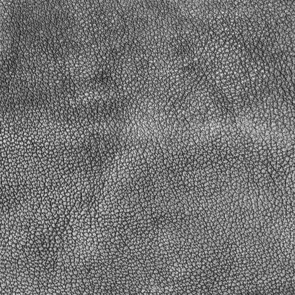 Textura de couro cinza — Fotografia de Stock