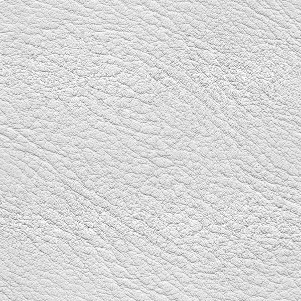 Texture cuir blanc — Photo