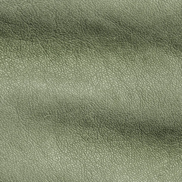 绿色皱的皮革纹理 — 图库照片