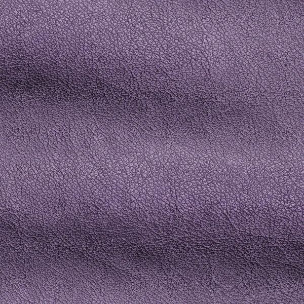 Violet verfrommeld leder texture — Stockfoto