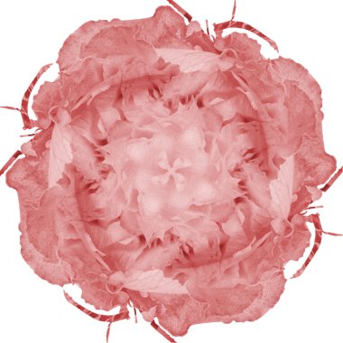 stilize Pembe çiçek