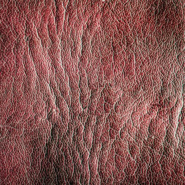 Buruşuk deri doku.