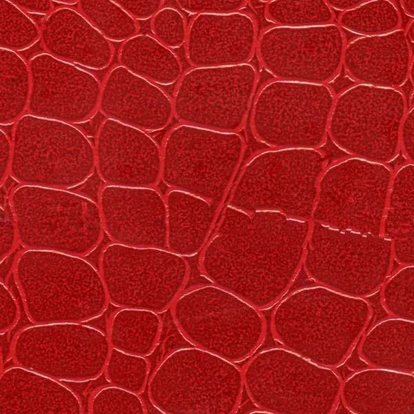 Artificial snake skin closeup — Stock Photo, Image
