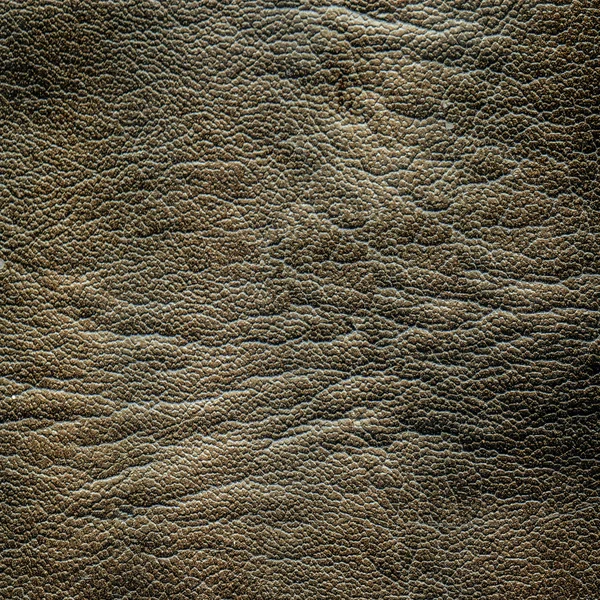 Wrinkled leather texture. — Stock Photo, Image