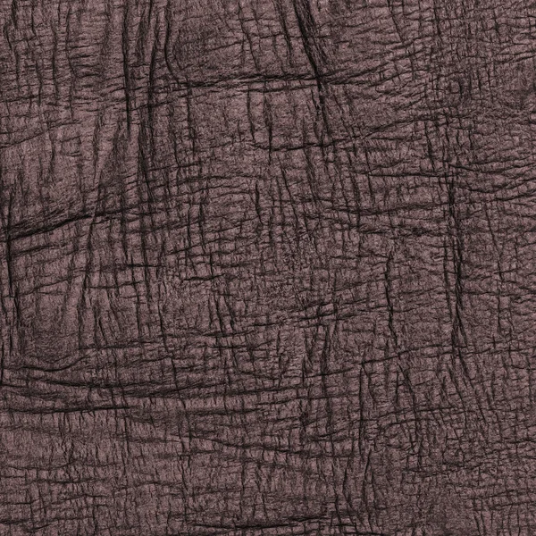 Skrynkliga läder texture. — Stockfoto