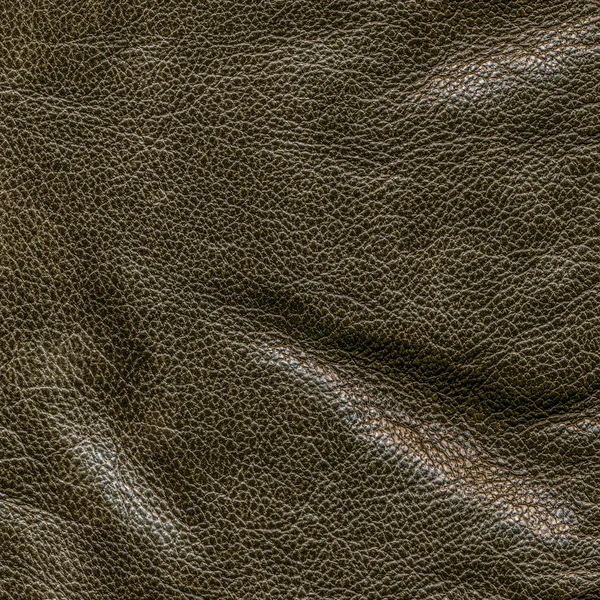 Crumpled leather texture. — Stock Photo, Image