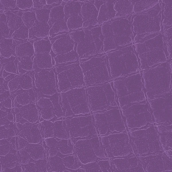 Crocodile skin texture — Stock Photo, Image