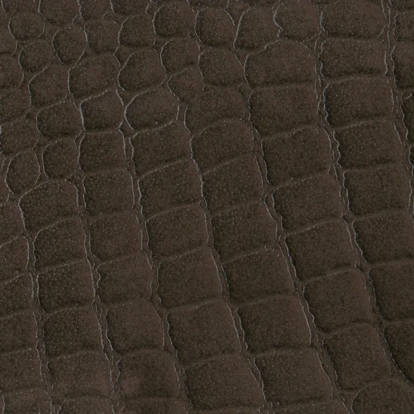 Texture della pelle di coccodrillo — Foto Stock