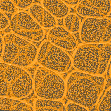 yeşil desenli arkaplan