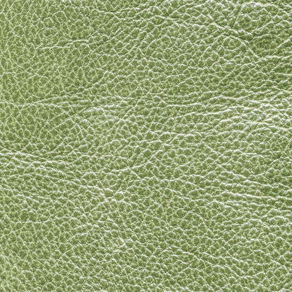 Textura de couro verde close-up — Fotografia de Stock