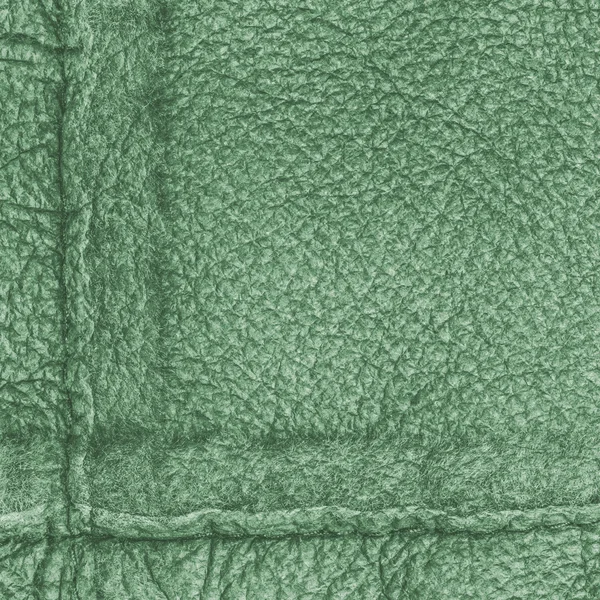 Texture cuir vert — Photo