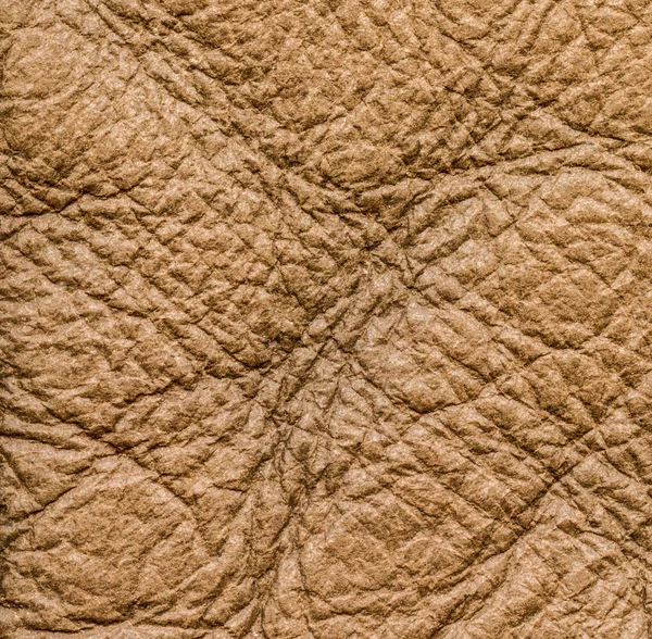 Light  brown tanned leather closeup — Stock Photo, Image