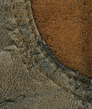 deri dokular iki türlü arka plan  