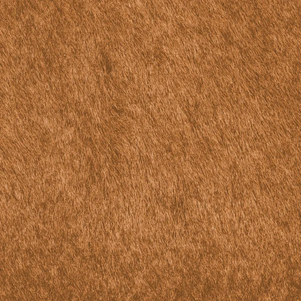 Painted yellow-brown natural  fur texture — Stock Photo, Image