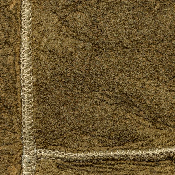 Fragment starej kawałek skóry garbowanej — Zdjęcie stockowe