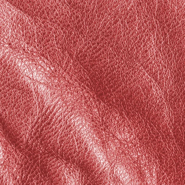 Detailní textury červená zmačkané kůže — Stock fotografie