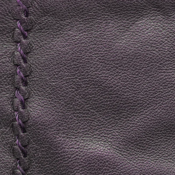 Fondo de cuero violeta decorado con mar — Foto de Stock