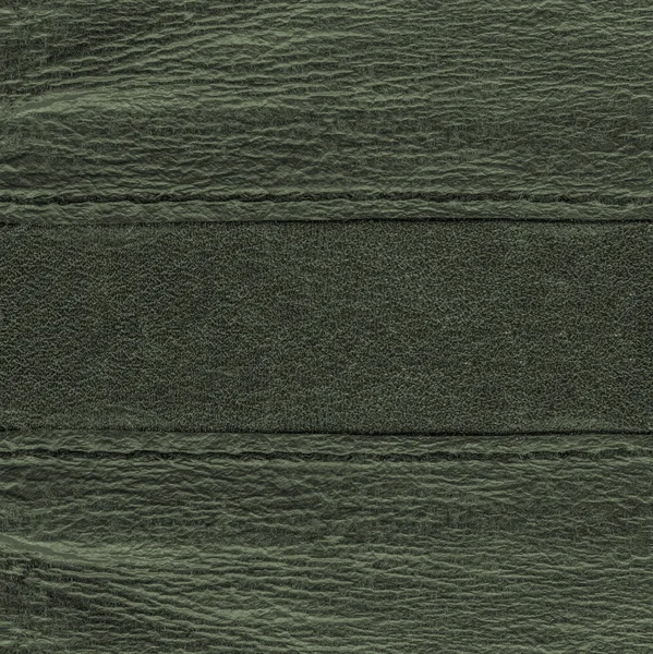 Groene achtergrond van twee soorten leder — Stockfoto