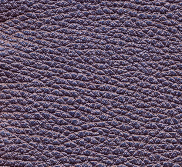 Textura de couro violeta como fundo — Fotografia de Stock