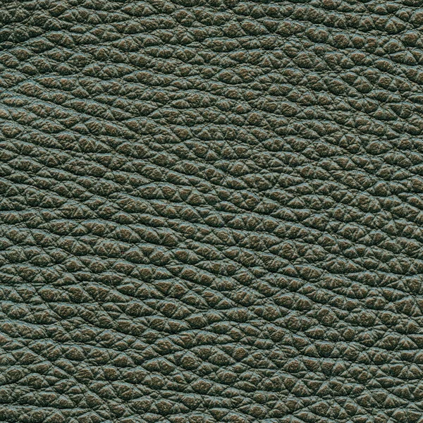 Green leather texture — Stock Photo, Image