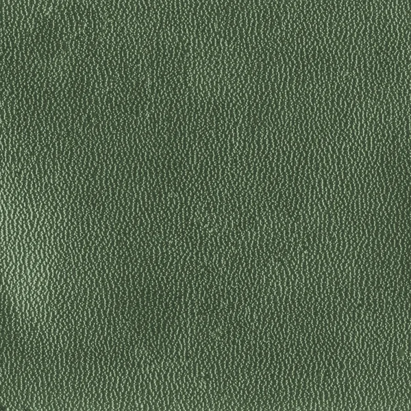 Зеленая кожа текстура. Полезный фон — стоковое фото
