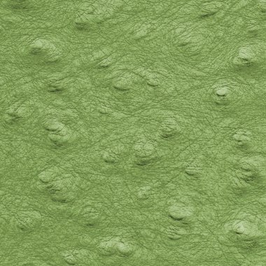 yeşil deri doku portre. Arka plan olarak yararlı