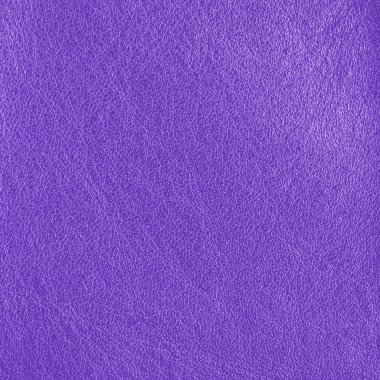 Mor deri dokusu portre