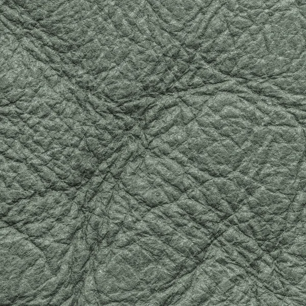 Gray-green leather texture closeup — Stock Photo, Image