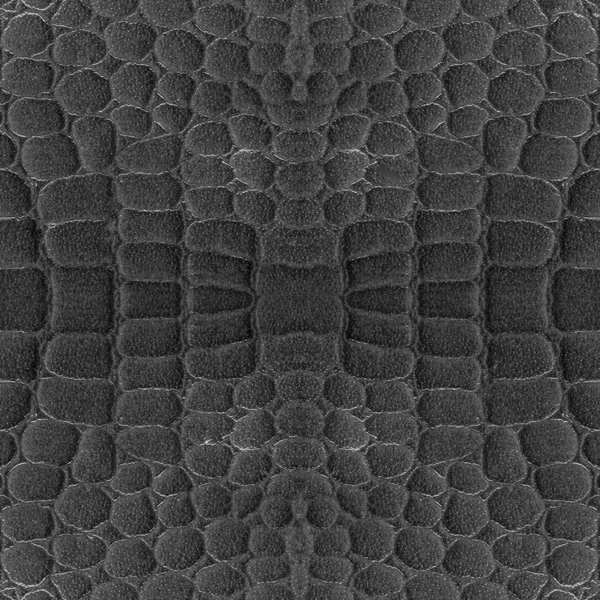 Czarny wąż tekstury skóry jako tło — Zdjęcie stockowe