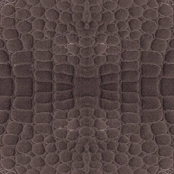 Textura de piel de serpiente marrón . —  Fotos de Stock