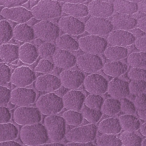 Fragment of natural snake  skin painted violet — Stock Photo, Image