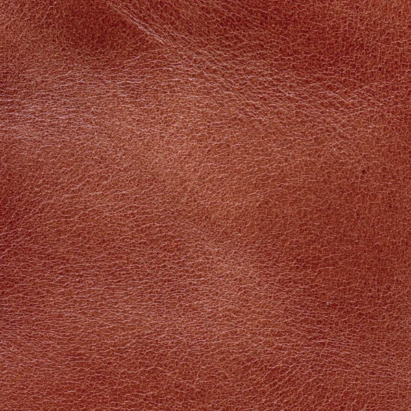 Λαμπερό κόκκινο δέρμα υφή. Χρήσιμο ως φόντο — Φωτογραφία Αρχείου