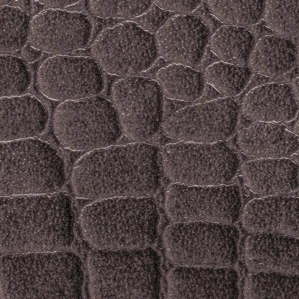 Pele de réptil marrom textura — Fotografia de Stock