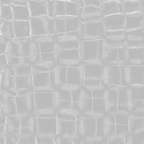 Light gray background based on leatherette texture — Stock Photo, Image